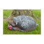 Wildlife 3D Target - Hedgehog