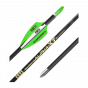 Pandarus Alpha XT 4.2 Arrows - With Vanes