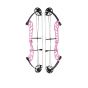 Topoint Starting 36 Compound Bow