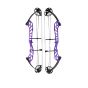 Topoint Starting 36 Compound Bow