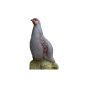 Natur Foam 3D Target - Partridge Rising