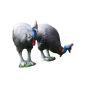 Natur Foam 3D Target - Cassowary