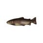 Natur Foam 3D Target - Trout