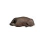 Natur Foam 3D Target - Wild Boar Lying