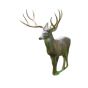 Natur Foam 3D Target - White Tail