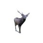 Natur Foam 3D Target - Sika Deer