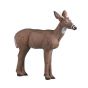 Rinehart 3D Target - Spike Buck