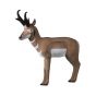 Rinehart 3D Target - Pronghorn Antelope