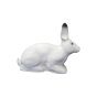 SRT 3D Target - Rabbit Polar