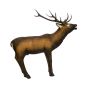 SRT 3D Target - Elk