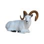 SRT 3D Target - Dall Sheep Bedded