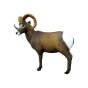 SRT 3D Target - Rocky Mountain Sheep