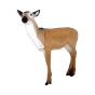 Wildlife 3D Target - Doe