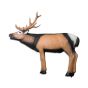 Wildlife 3D Target - Deer Alerted