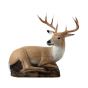 Bearpaw Franzbogen 3D Target - Stag - Lying