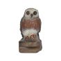 Bearpaw Franzbogen 3D Target - Little Owl