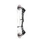 Bowtech CP-30 Compound Bow