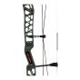 Darton Sequel 31 Compound Bow