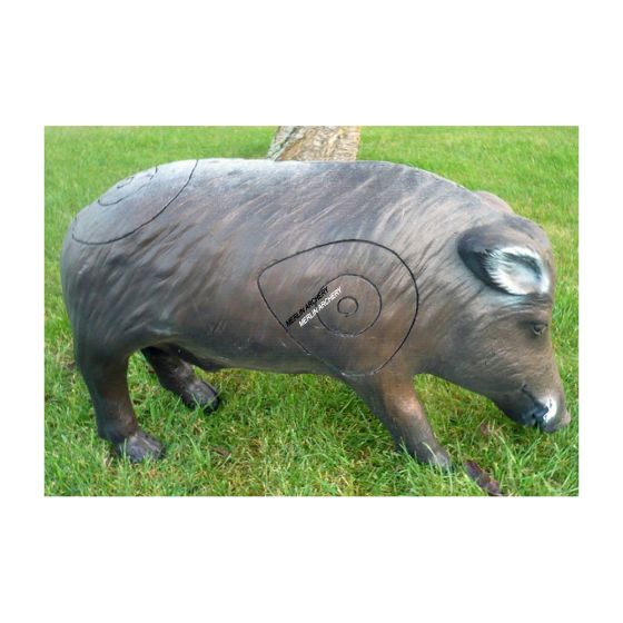 Wildlife 3D Target - Wild Boar