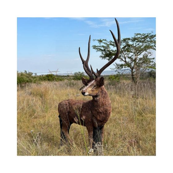 Wildcrete 3D Target - Rusa Deer