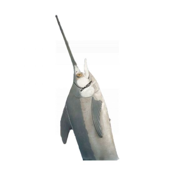 Natur Foam 3D Target - Sword Fish