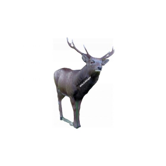 Natur Foam 3D Target - Sika Deer