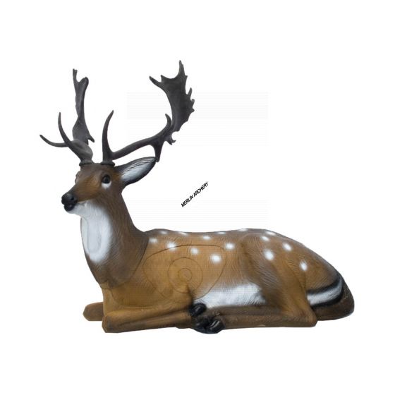 SRT 3D Target - Fallow Deer Bedded