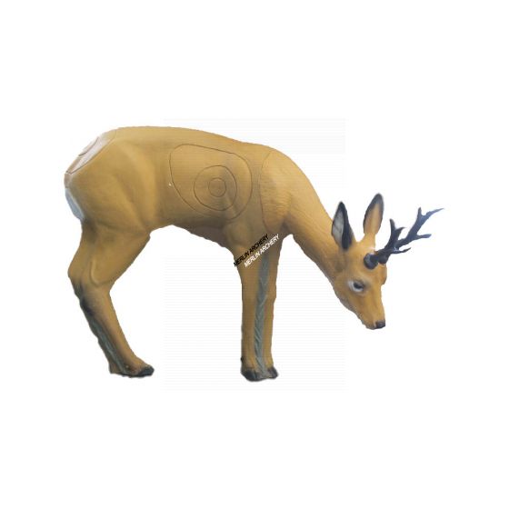 SRT 3D Target - Roebuck Grazing