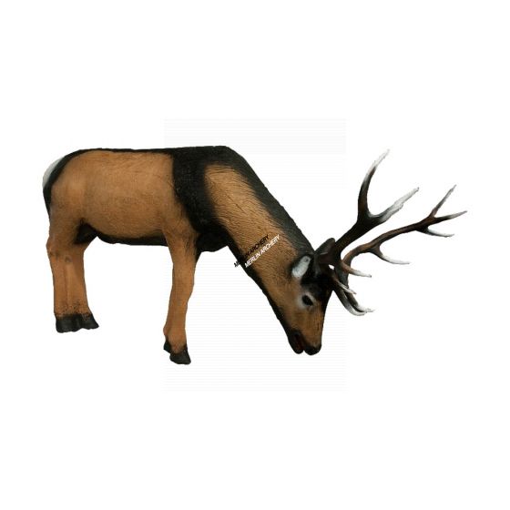 Wildlife 3D Target - Deer Drinking