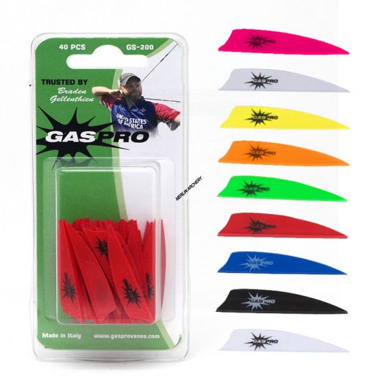 Gas Pro GS-200 Vanes