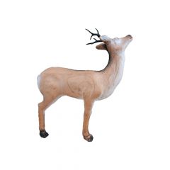 Wildlife 3D Target - Roe Deer Eating